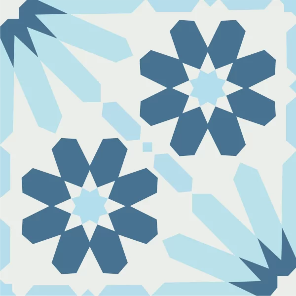 GẠCH BÔNG CỔ ĐIỂN VH 19.1